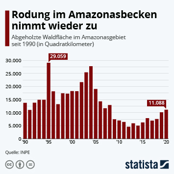 Grafik Rodung Amazonasregenwald