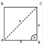 Quadrat