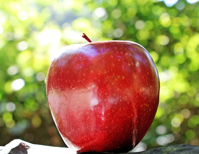 Apfel (Pixabay)